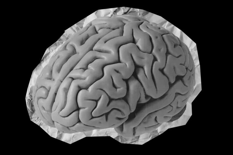 A brain resting on crumpled paper